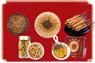 黑河市孙吴烟酒回收各种虫草.jpg